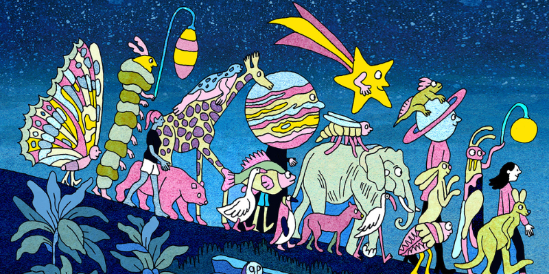 Dessin illustratrice Jeanne Macaigne