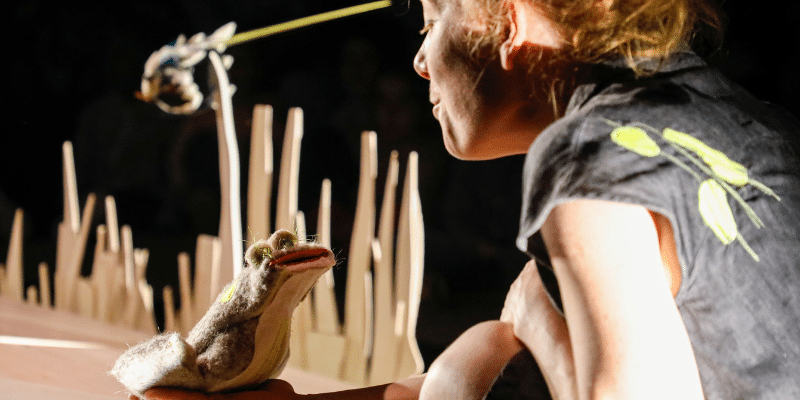 rivière et grenouille