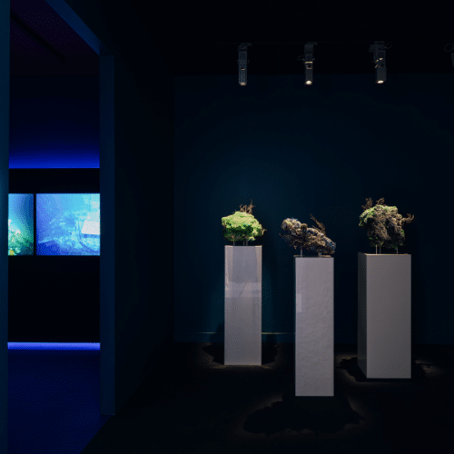 Abysses Voir la mer MAIF Social Club