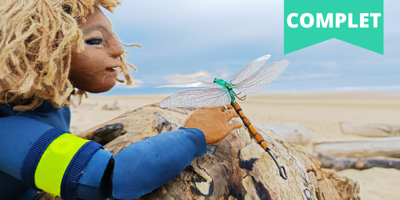 spectacle surfeuse et la libellule complet