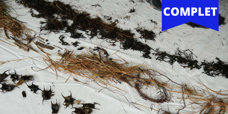 ce que laisse la mer complet