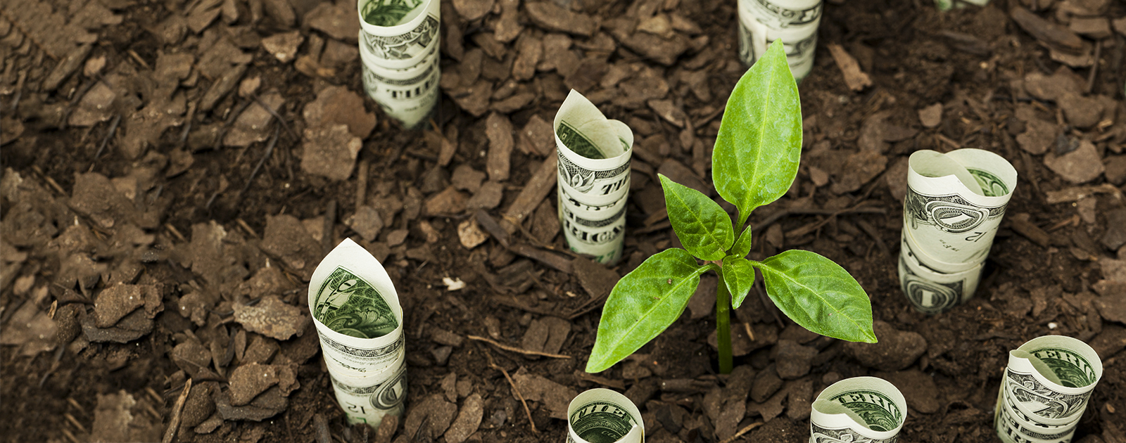 Quelle finance pour un monde solidaire ?