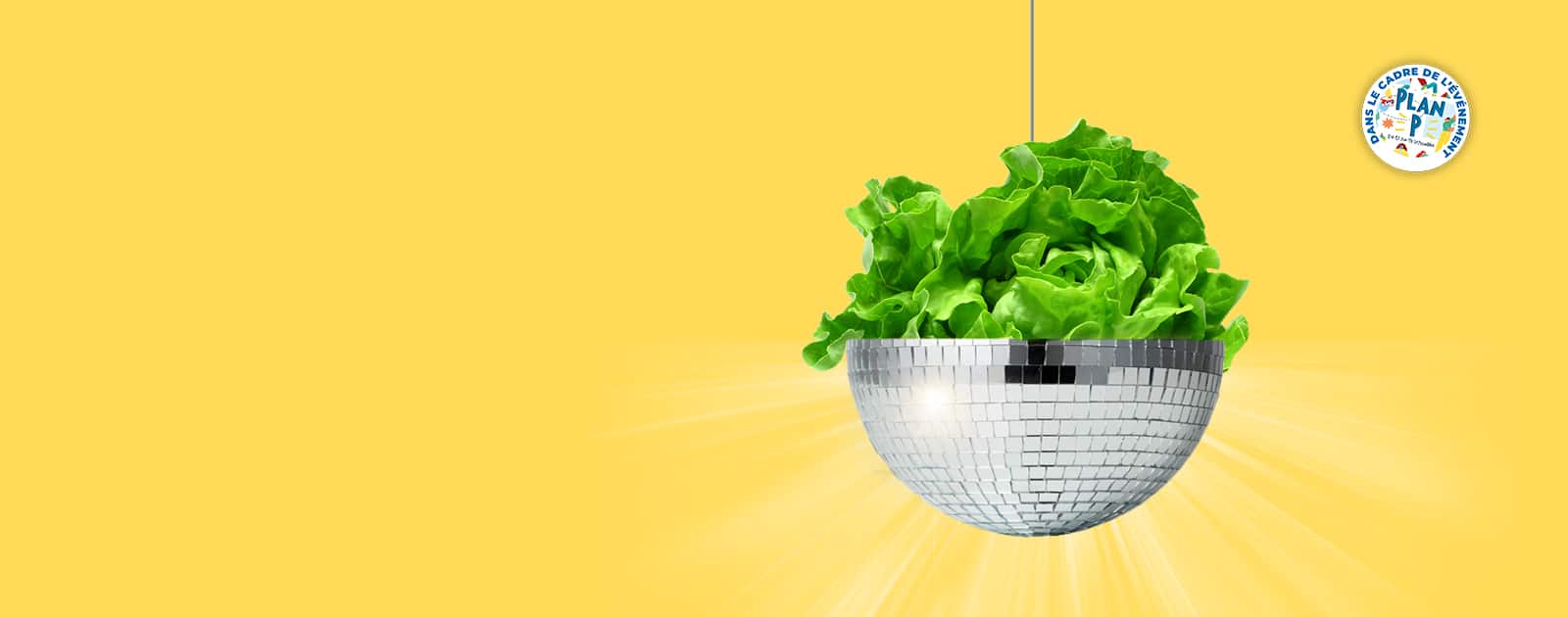 Crémaillère Disco Salade