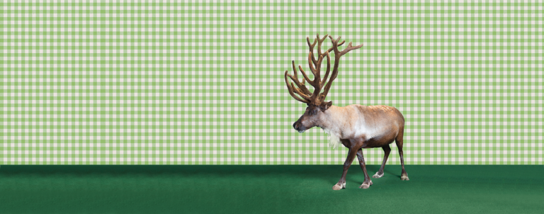 La fabrique de Noël !