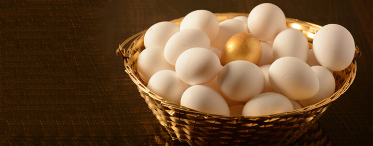 L’intrapreneuriat, un outil de transformation culturelle ?