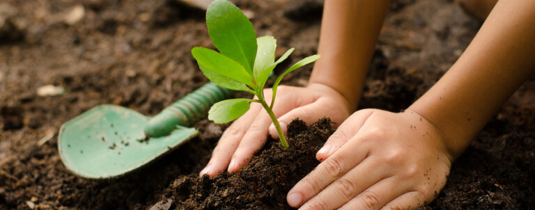 Demain tous producteurs ?