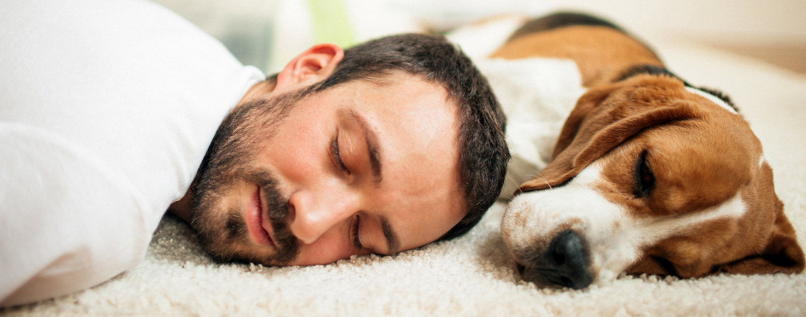 Ateliers sommeil
