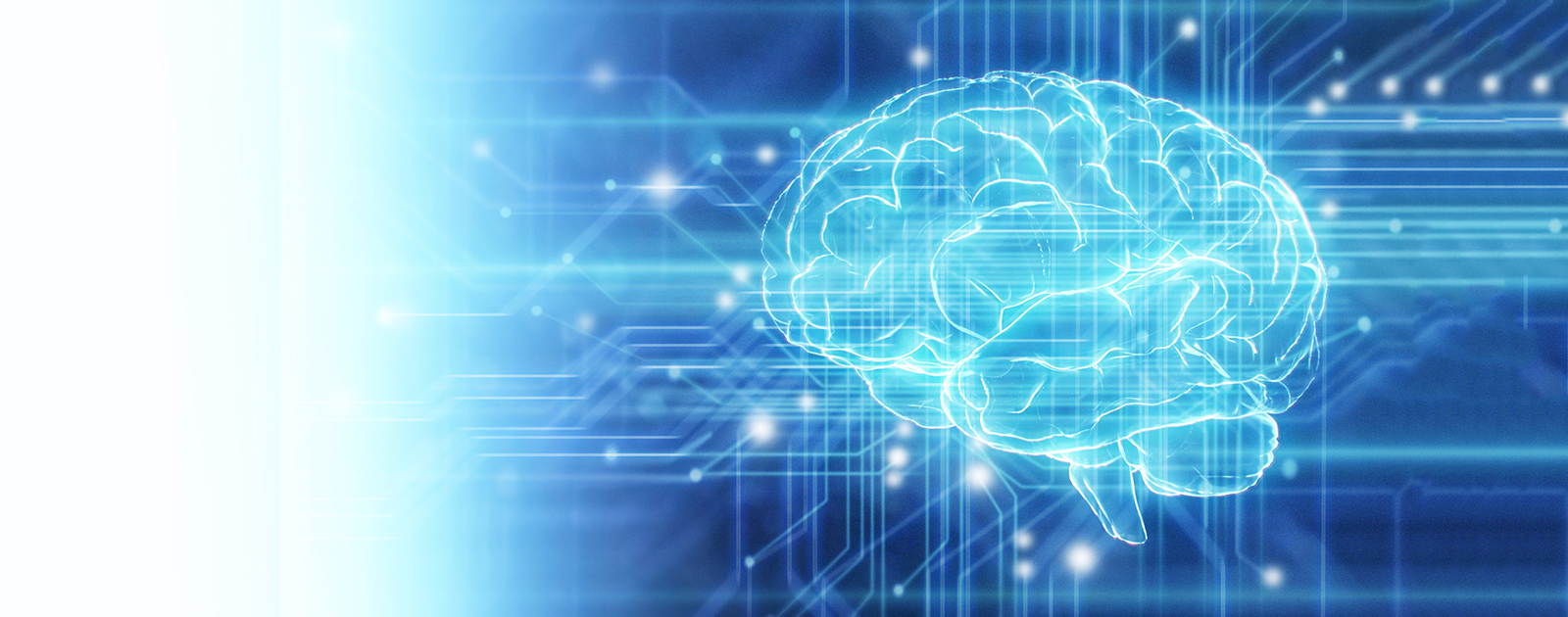 Suffit-il d’avoir un cerveau pour apprendre ?