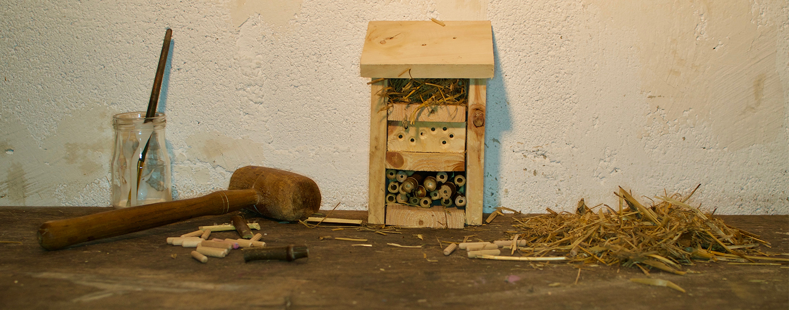 L’hôtel à insectes