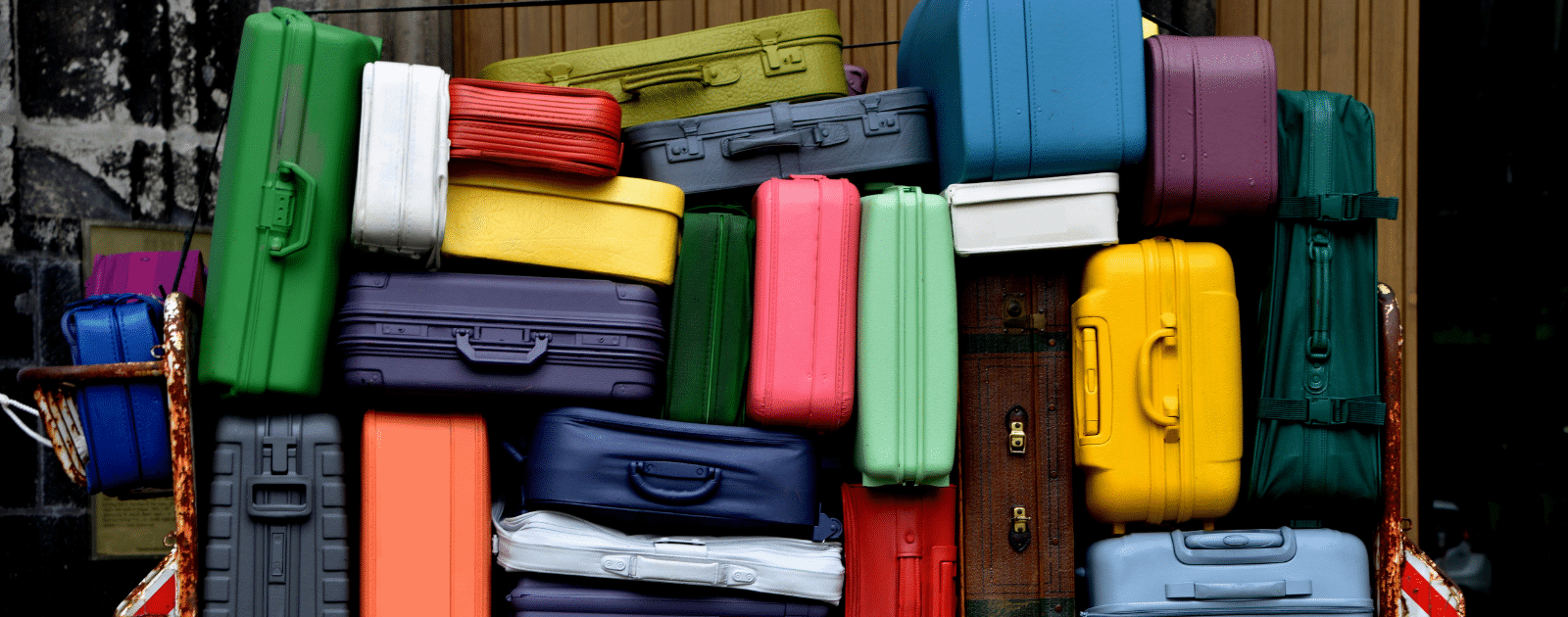 Ménagerie numérique étiquette bagages