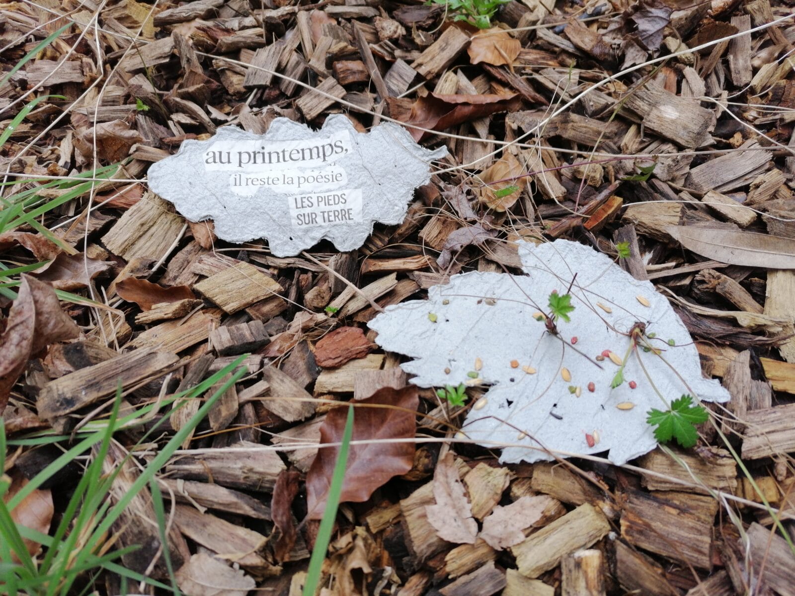 papier à germer