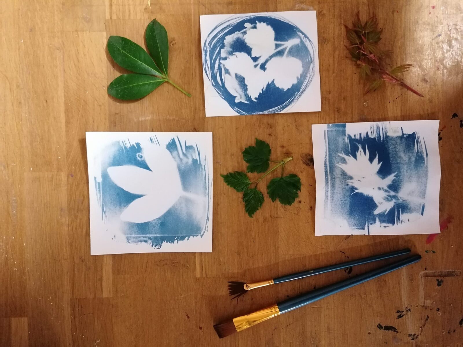 A la découverte du cyanotype