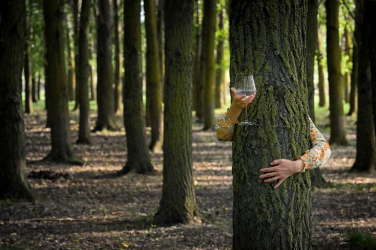 Déguster la forêt