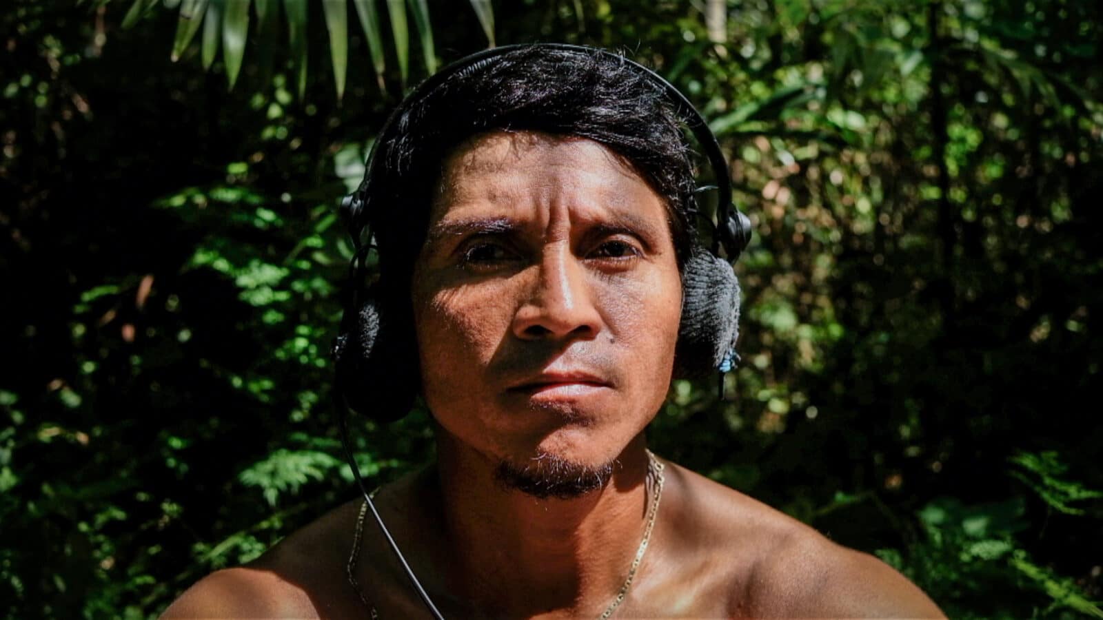 curupira amazonie