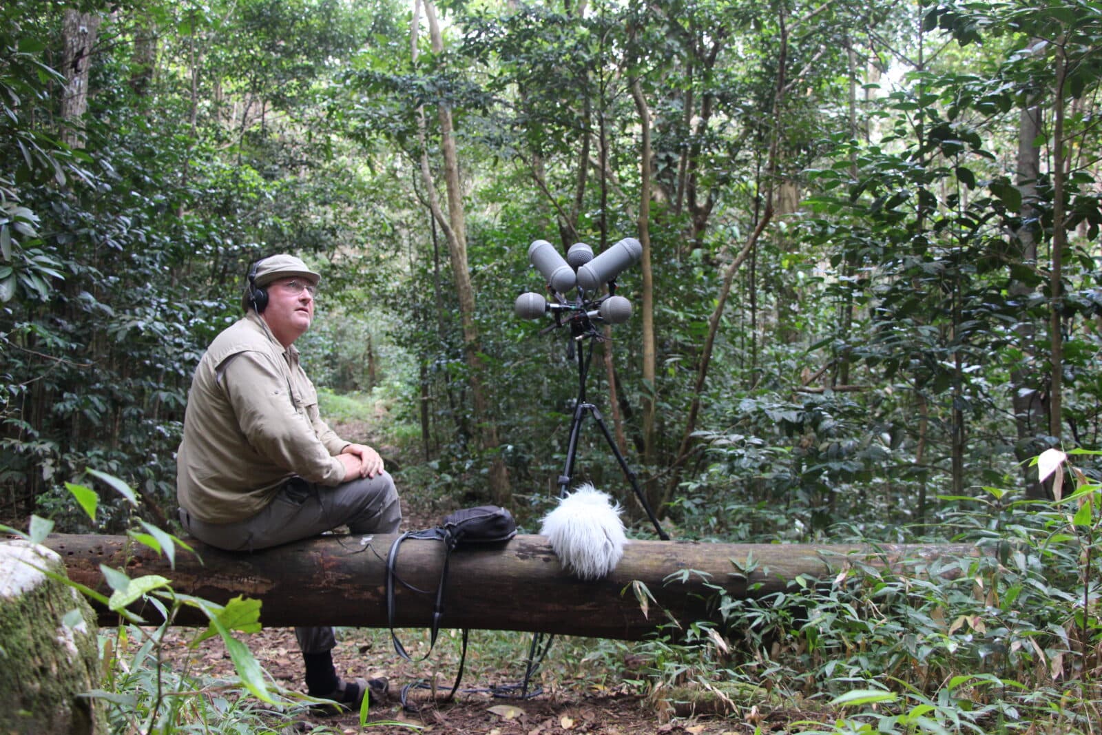 Ecoute de la Forêt en Guadeloupe