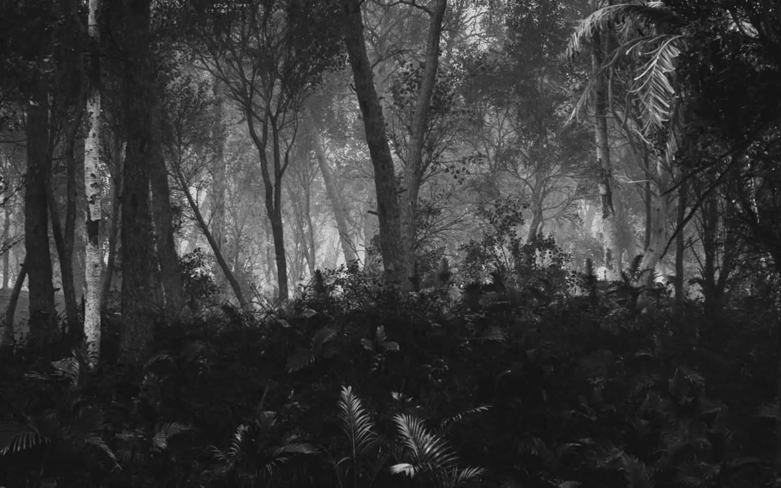 FORET MAYA