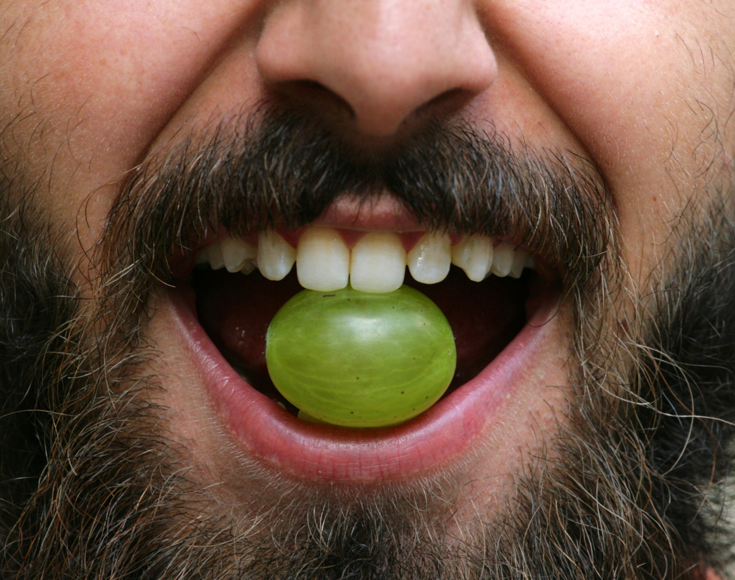 Portrait d'un homme barbu avec un grain de raisin dans la bouche