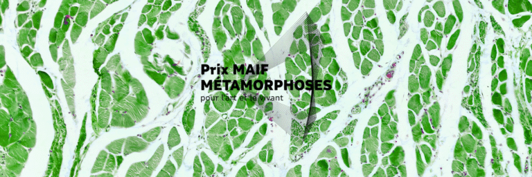 Remise du prix MAIF Métamorphoses 2026