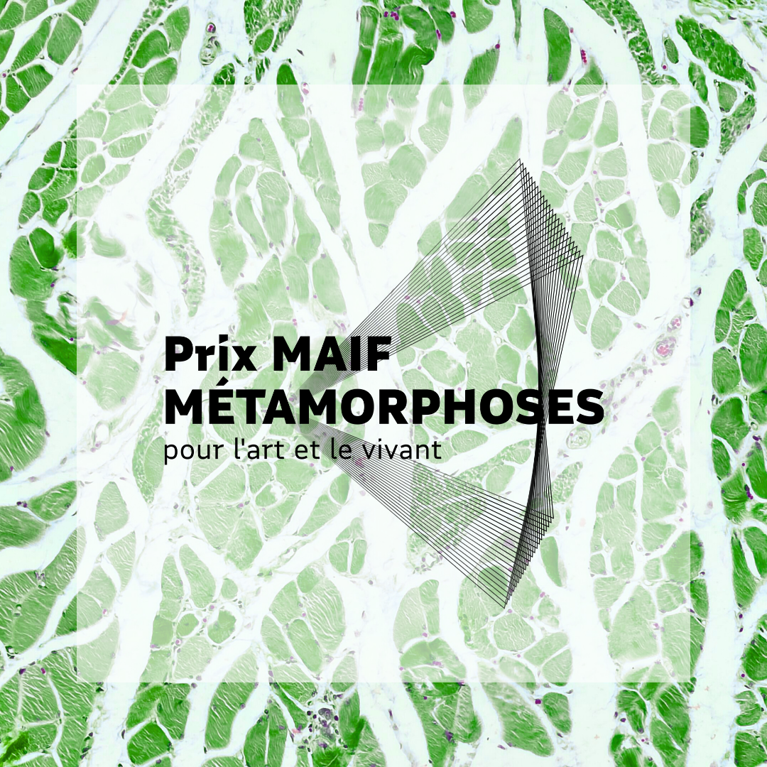 PRIX MAIF POUR LA SCULPTURE